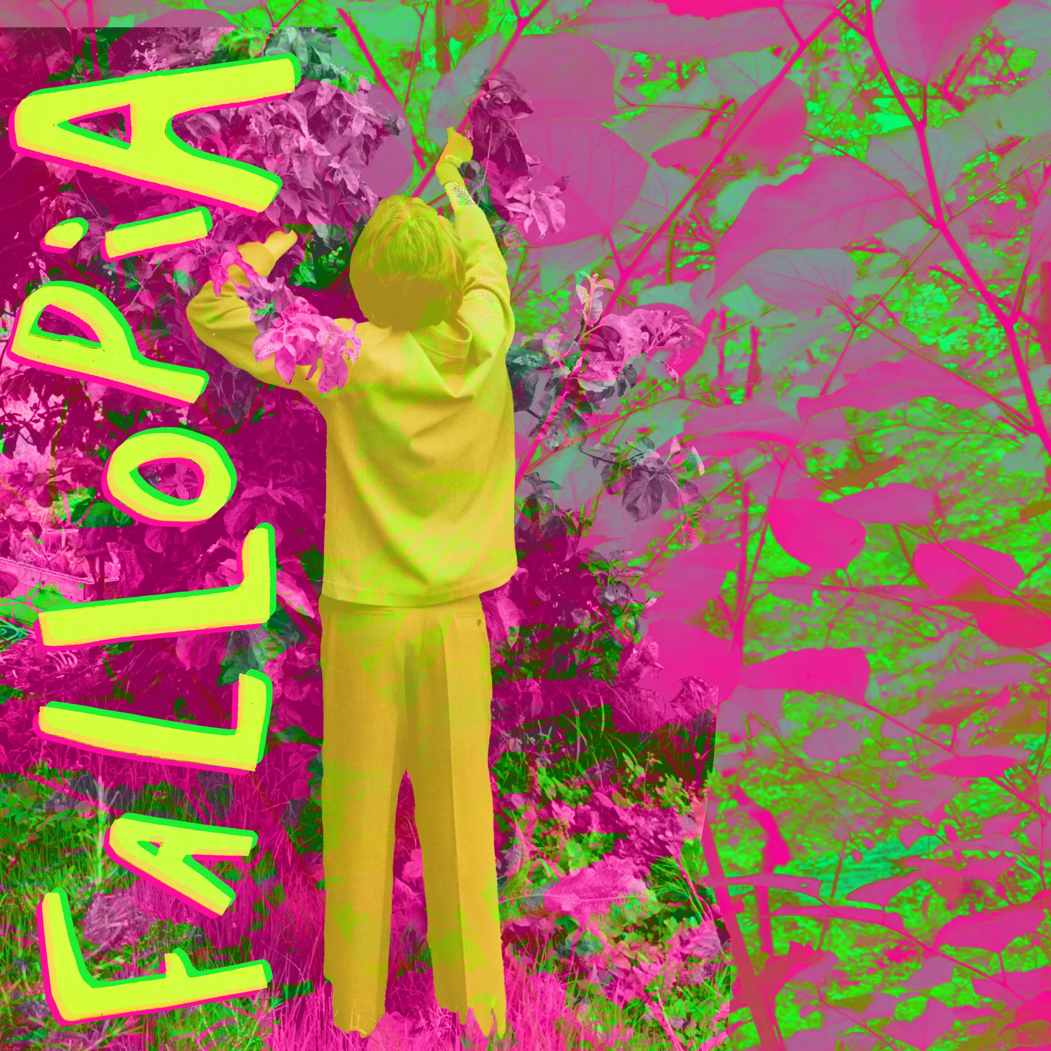 Sophie Maguire Presents: Fallopia