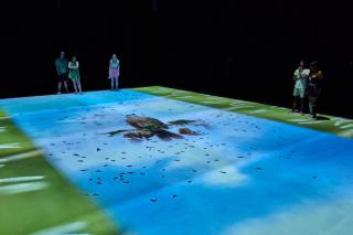 The Earth Refused to Catch My Fall