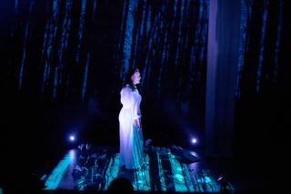 Nobody is Ever Missing