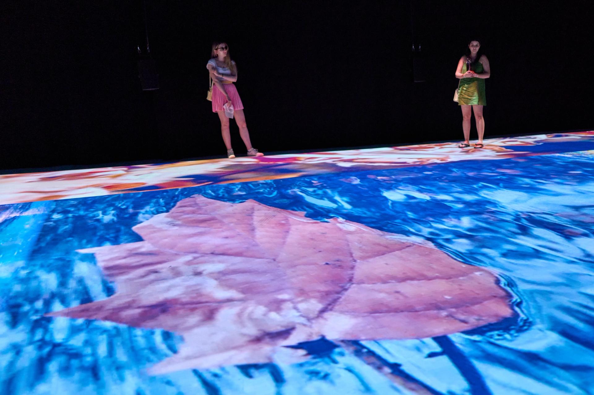 The Earth Refused to Catch my Fall