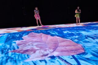 The Earth Refused to Catch my Fall