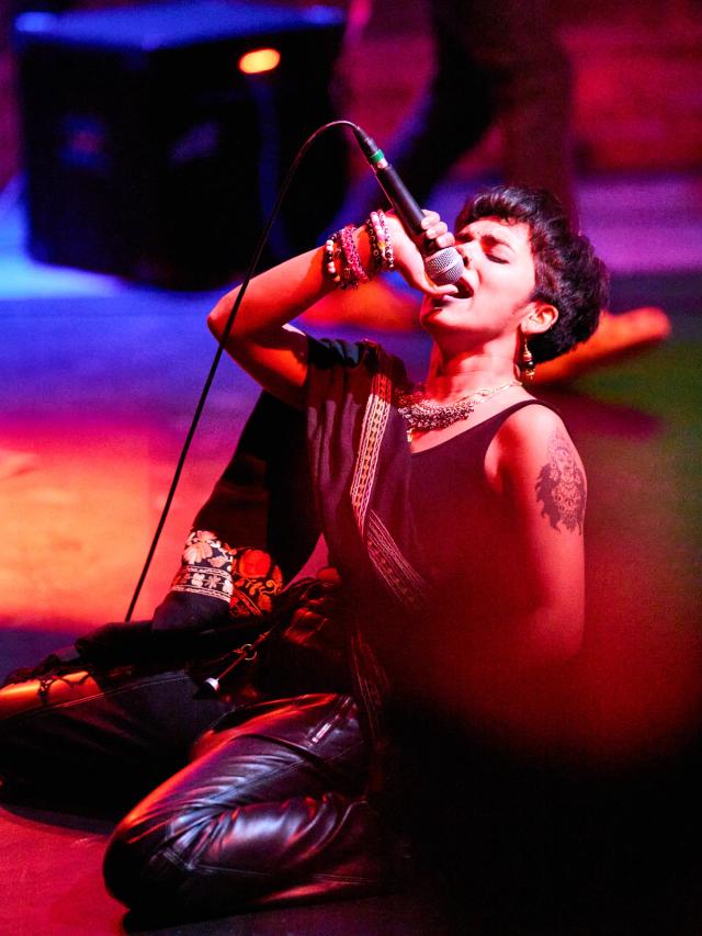 Maryland Volunteer Lawyers for the Arts Fundraiser