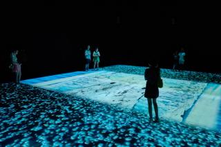 The Earth Refused to Catch My Fall