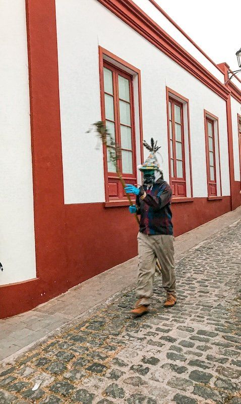 Cho Perico escondido en las calles de Los Silos