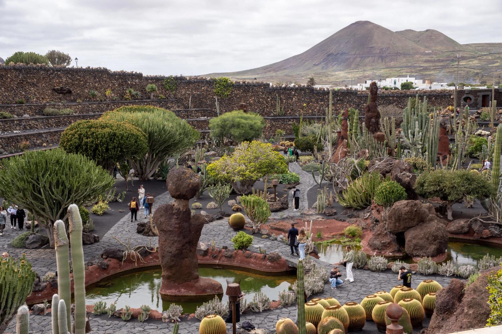 El anfiteatro del Jardín de Cactus, con cientos de cactus en terrazas y un volcán al fondo
