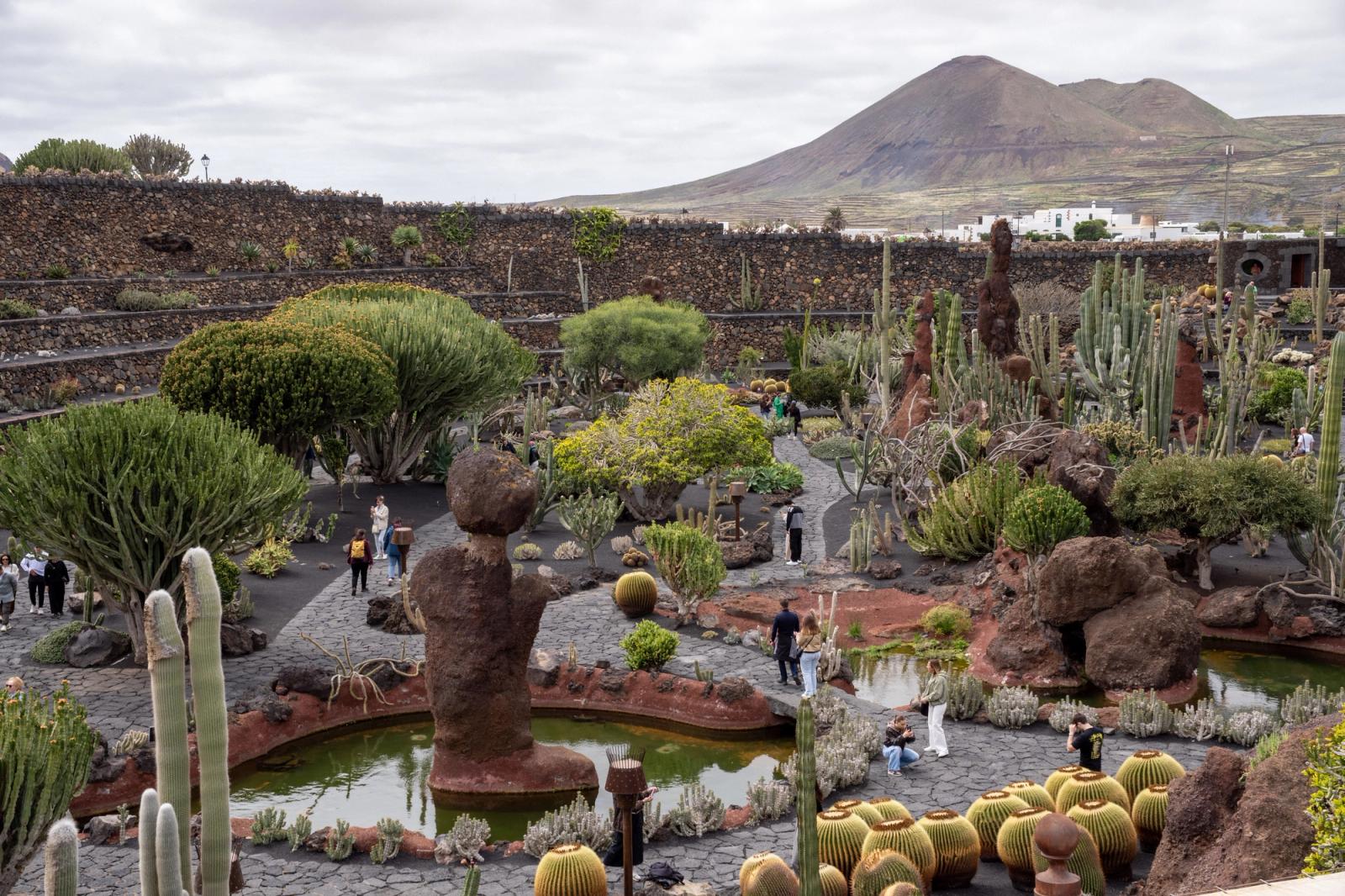 El anfiteatro del Jardín de Cactus, con cientos de cactus en terrazas y un volcán al fondo