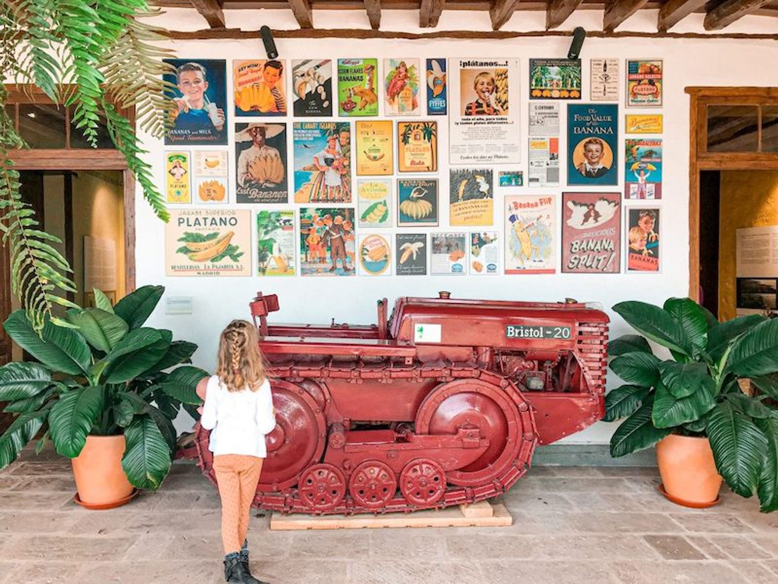 LA CASA DEL PLÁTANO en Icod de los Vinos, Tenerife 
