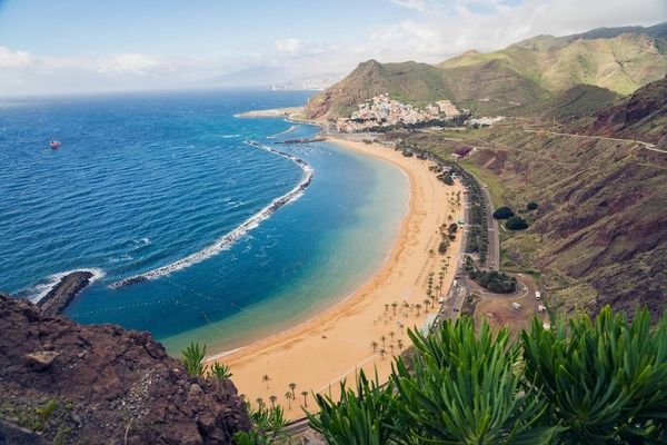 Vista de la Playa de las Teresitas, en el noreste de Tenerife, con su arena dorada, las palmeras y el pueblo de San Andrés al fondo.