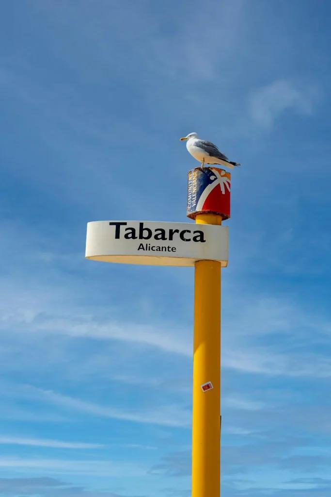 Isla de Tabarca: Qué es, cómo llegar y consejos para visitarla
