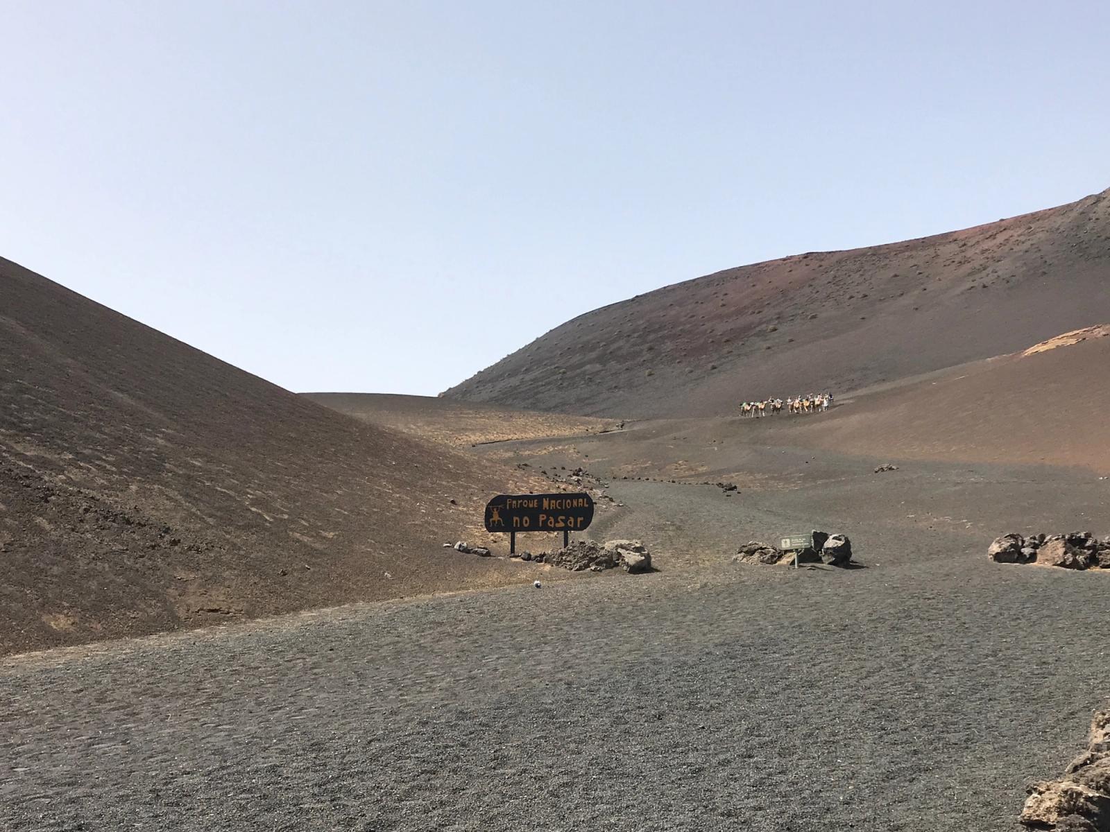 Entrada al Parque Nacional de Timanfaya, con una fila de camellos subiendo por la ladera volcánica
