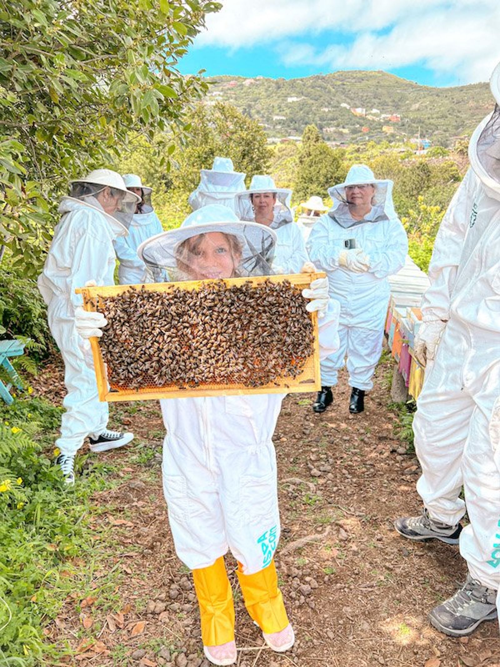 Visitamos una abejera en Tenerife 