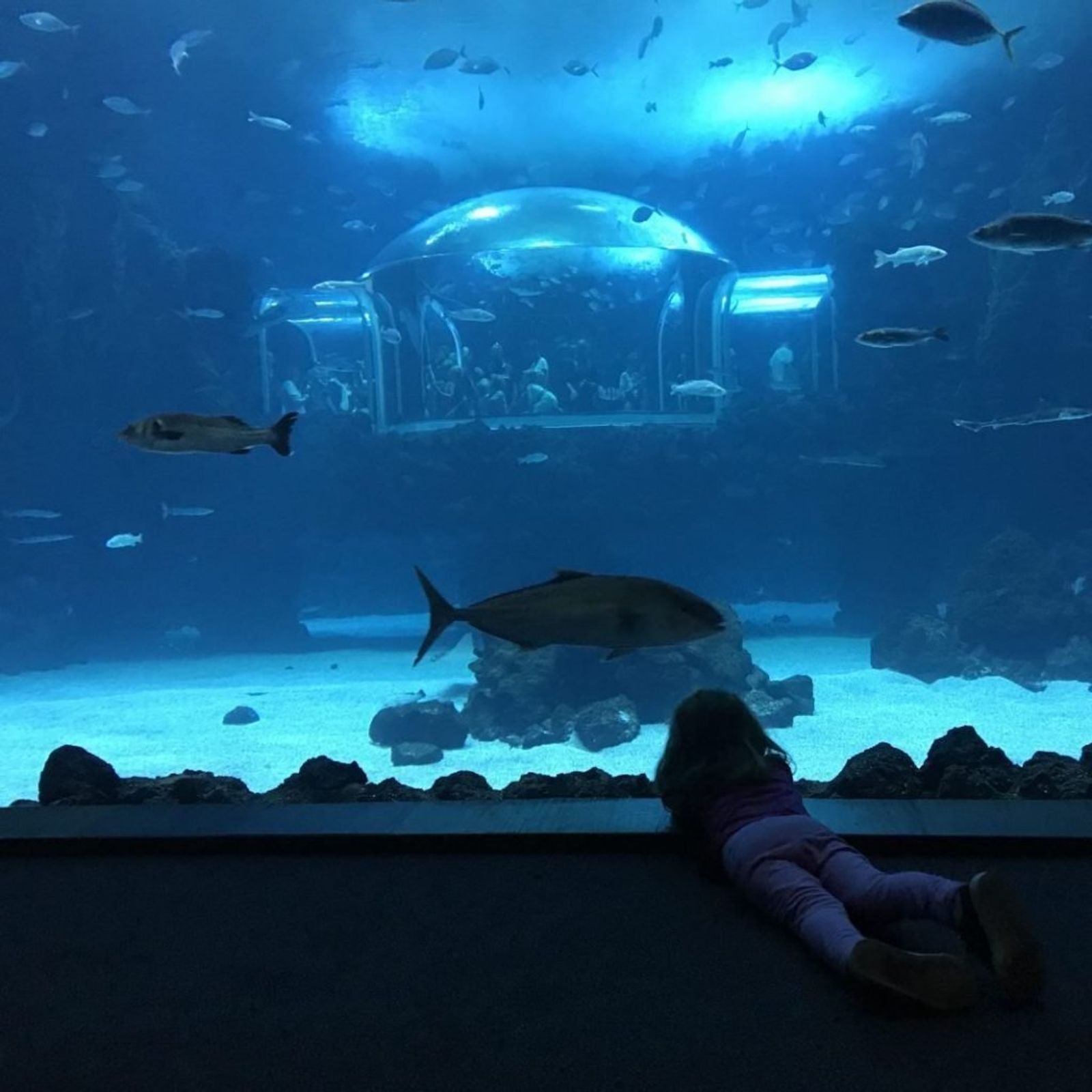 El gran tanque del Océano Profundo en el Acuario Poema del Mar