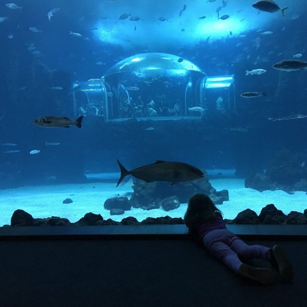 El gran tanque del Océano Profundo en el Acuario Poema del Mar