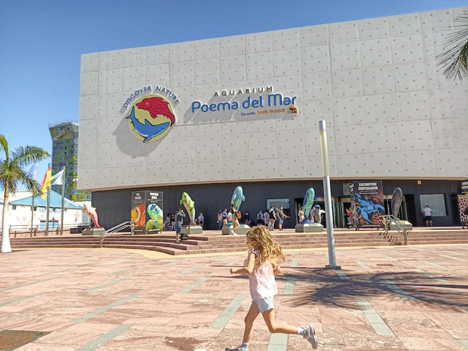 Acuario Poema del Mar, en Las Palmas de Gran Canaria