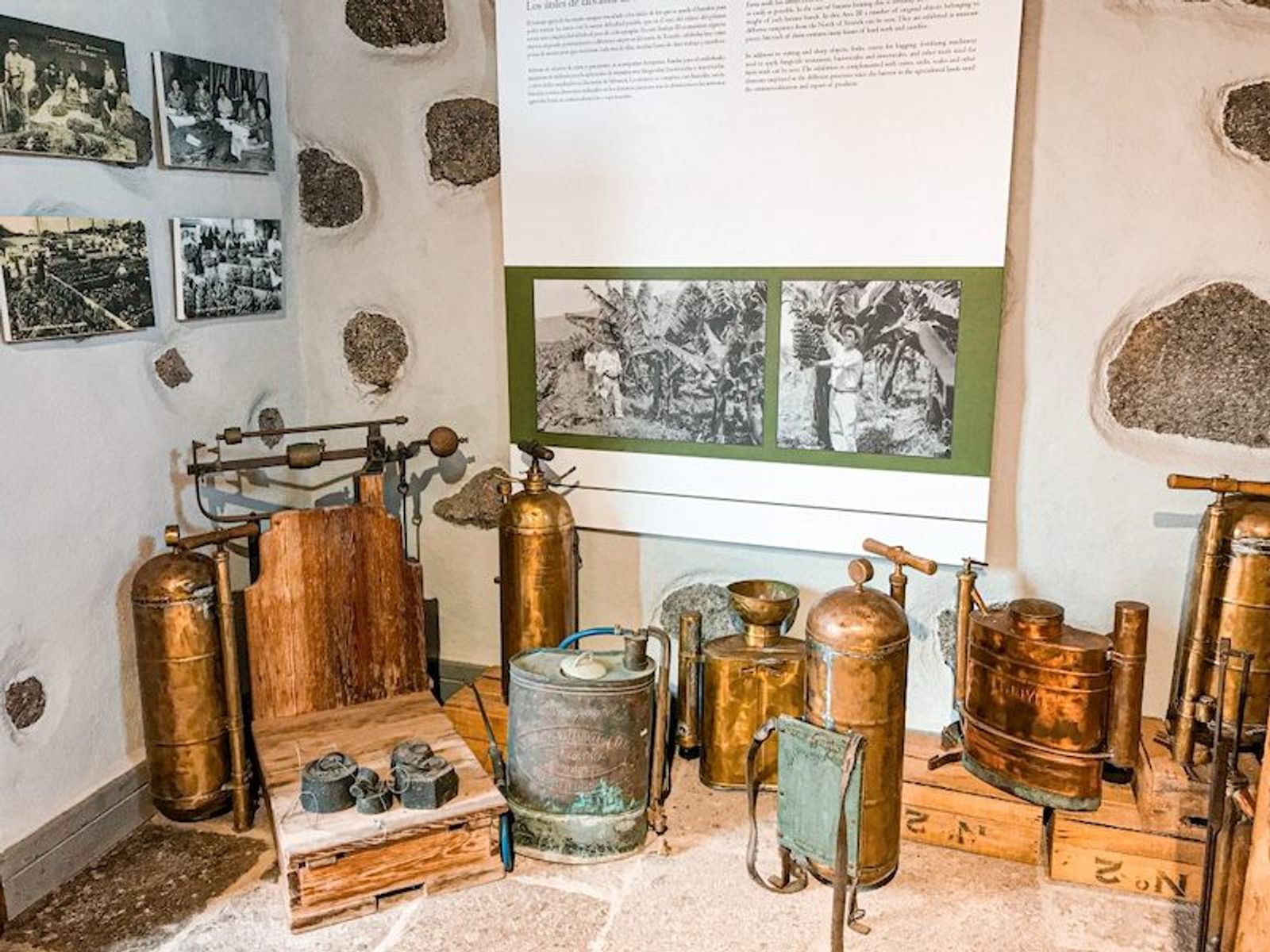 LA CASA DEL PLÁTANO en Icod de los Vinos, Tenerife 
