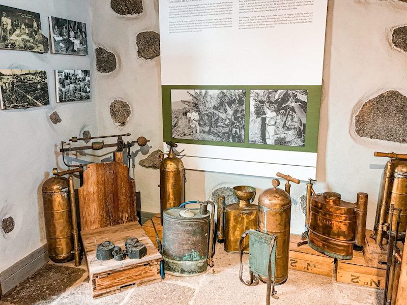 LA CASA DEL PLÁTANO en Icod de los Vinos, Tenerife