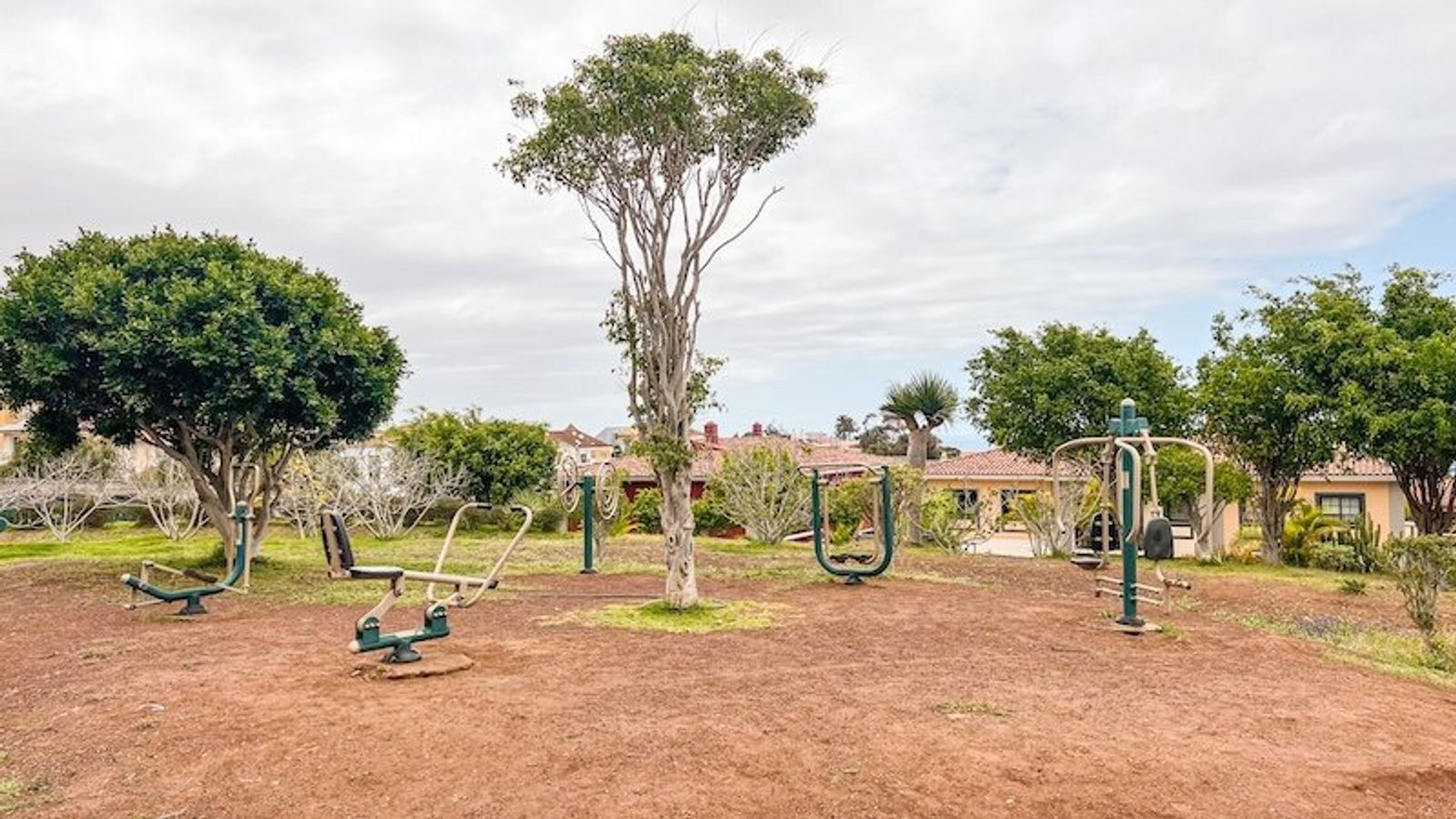La zona deportiva del parque, con máquinas de ejercicio al aire libre alrededor de un eucalipto.