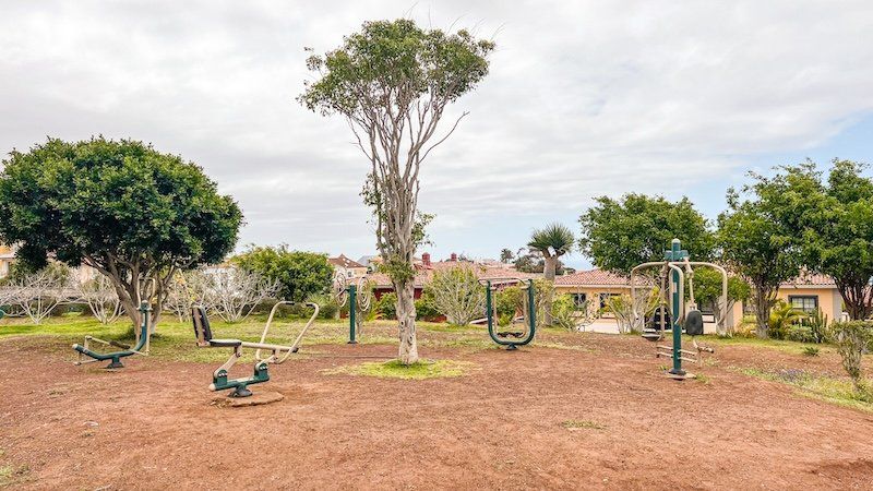 La zona deportiva del parque, con máquinas de ejercicio al aire libre alrededor de un eucalipto.