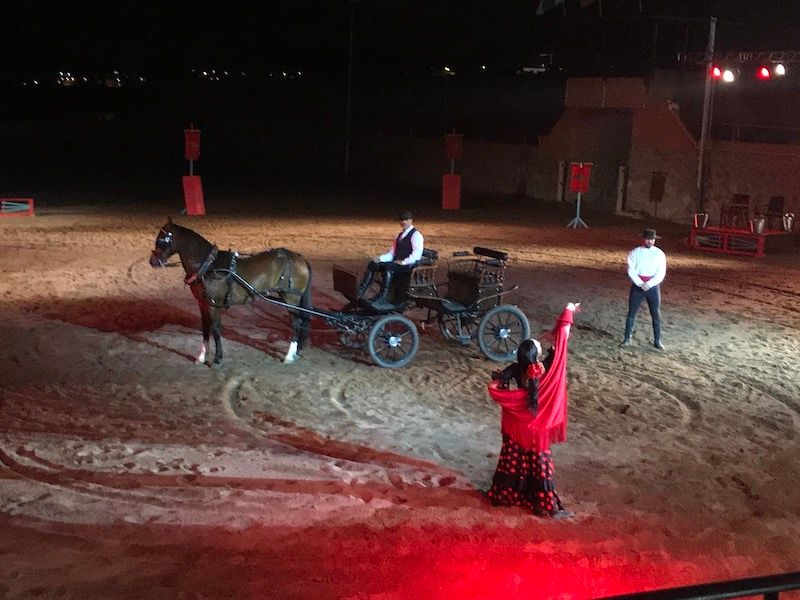 Gladiux Show – Espectáculo ecuestre en Tenerife