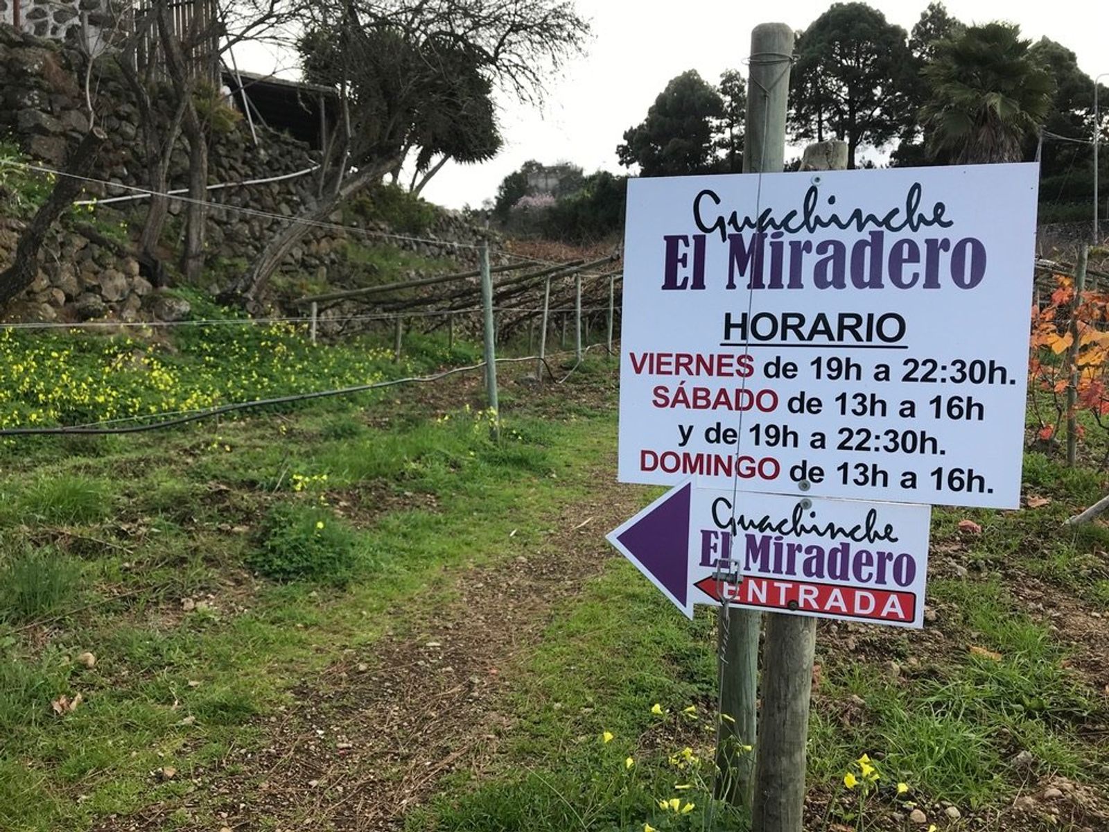 Guachinche el Miradero en Icod de Los Vinos, Tenerife