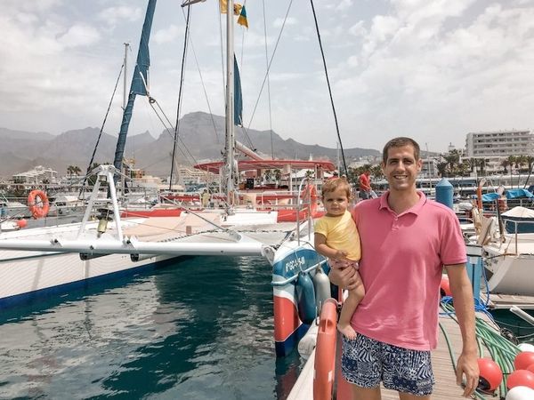 Whale and dolphin watching by catamaran in Tenerife