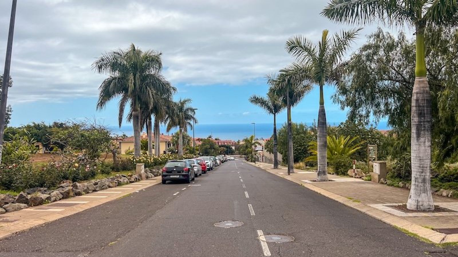 La calle que baja al parque, con palmeras a los lados, coches aparcados en el arcén y el mar al fondo.