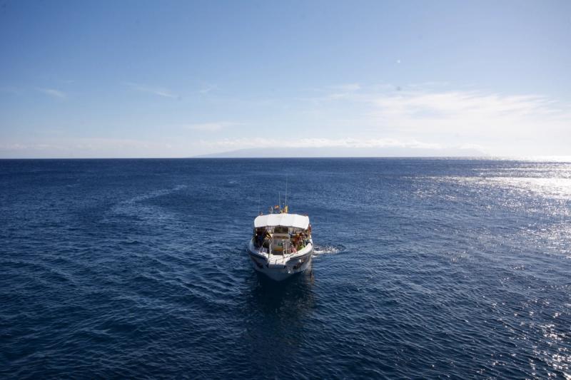 Los Gigantes y Punta de Teno en barco