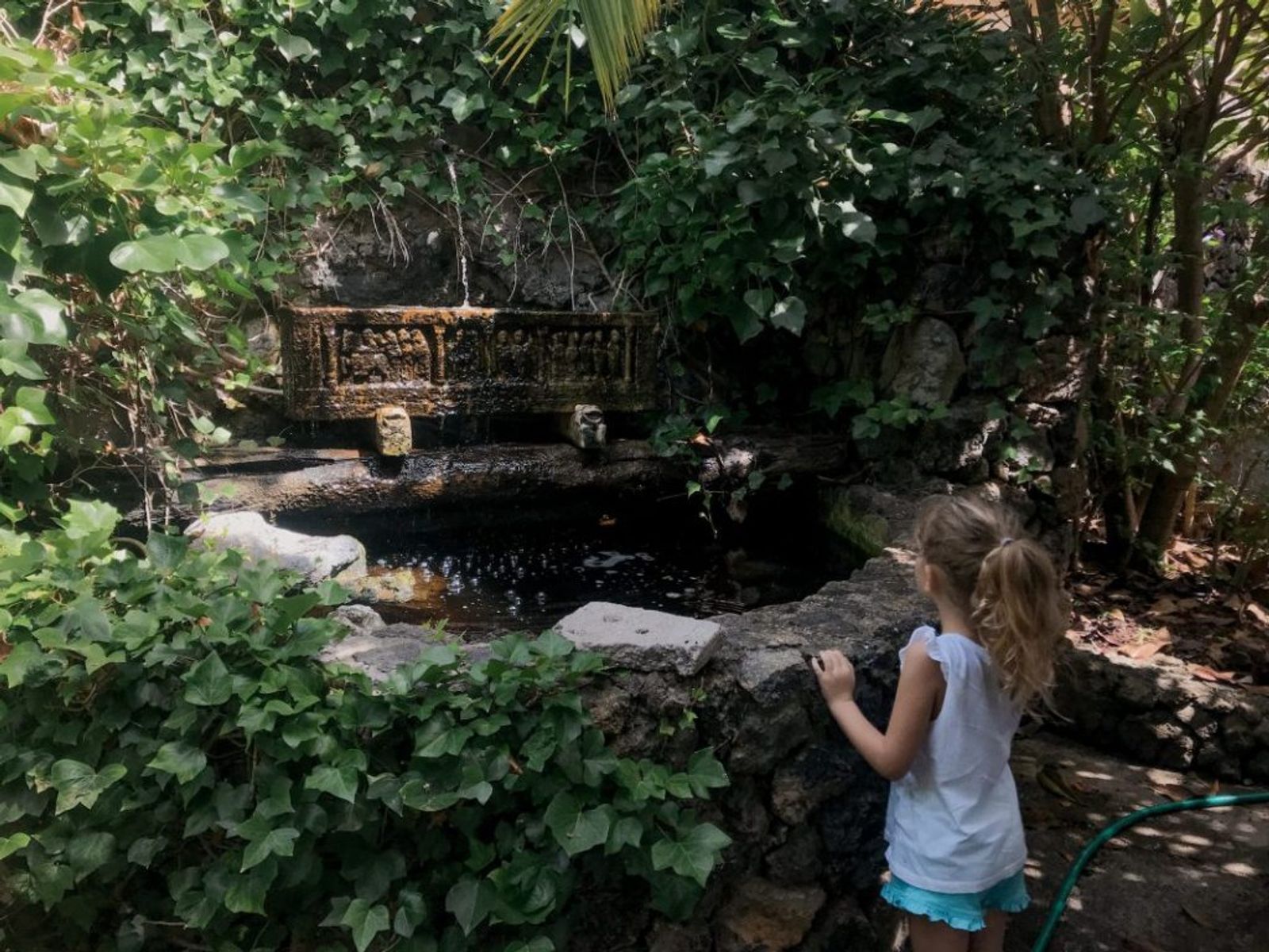 Jardín tropical de ARTlandya con vistas al Teide