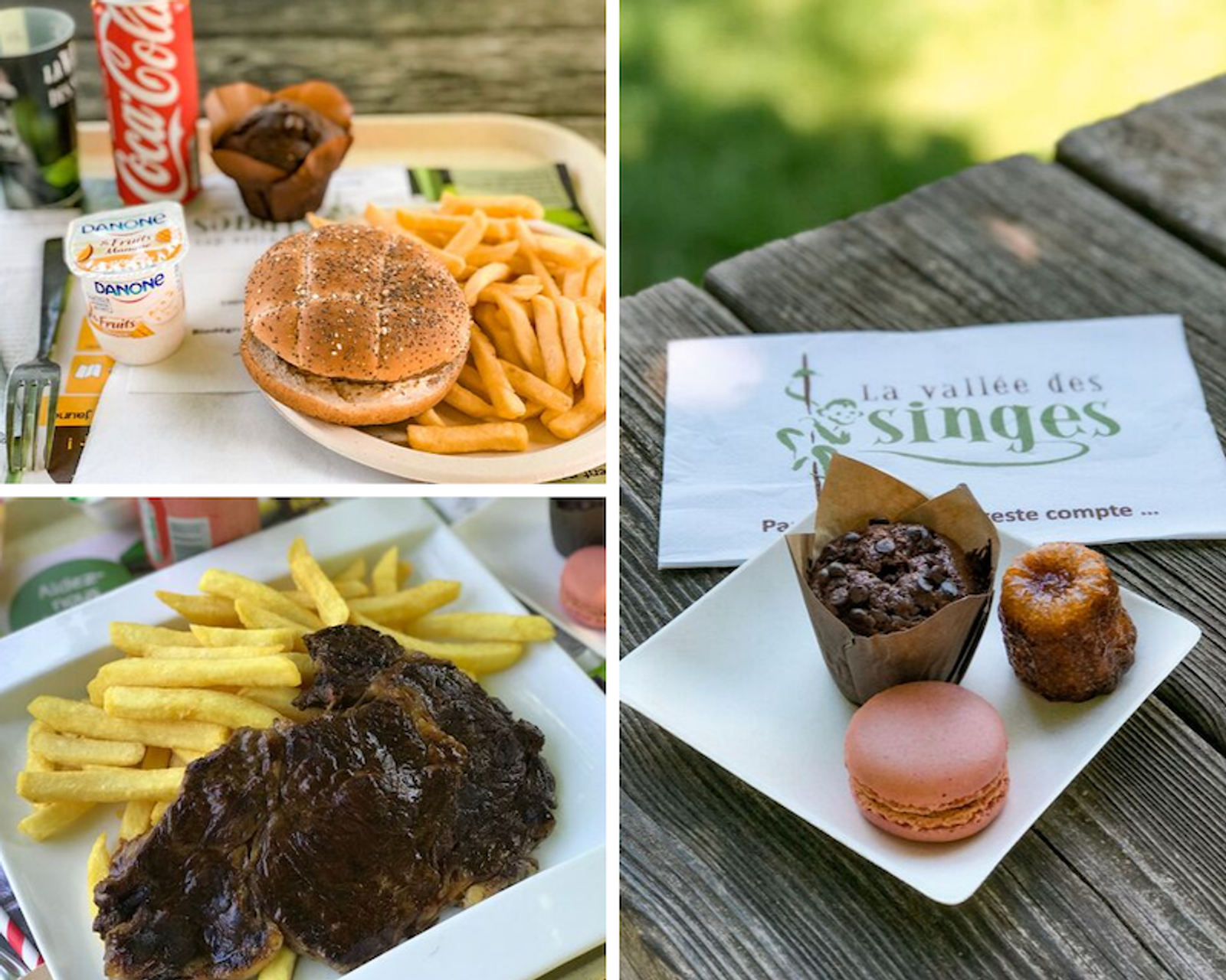 Comer en La Vallée des Singes
El parque cuenta con dos restaurantes: la Case des Chimpanzés y la Hutte des Gorilles. Como es normal en este tipo de lugares, los precios son altos. Una opción más económica puede ser llevarte un picnic y disfrutarlo en las varias zonas que hay para comer dentro del recinto. Nosotros comimos en una especia de self service. Lo que pedimos estaba muy rico, especialmente el cuscus y los postres. Lo que más nos gustó fue sentarnos fuera a almorzar y ver a los pavos reales alrededor nuestra.