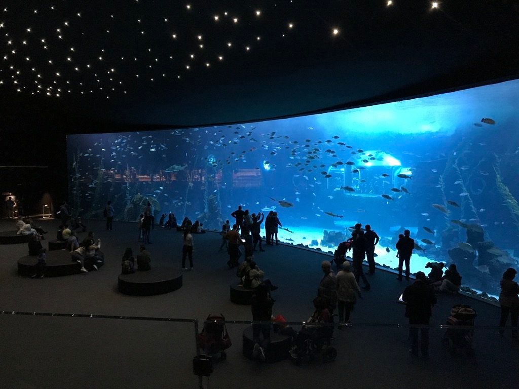 Acuario Poema del Mar, en Las Palmas de Gran Canaria