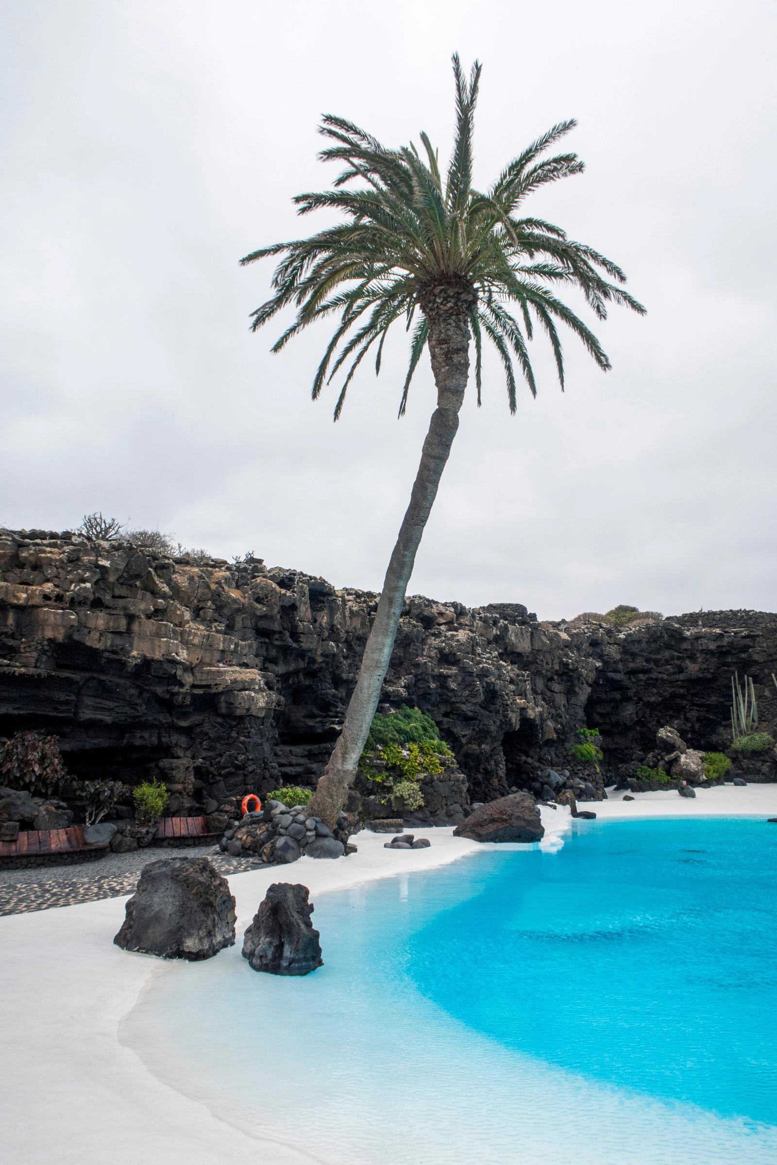La piscina turquesa de los Jameos del Agua, con su palmera y las paredes de roca volcánica alrededor