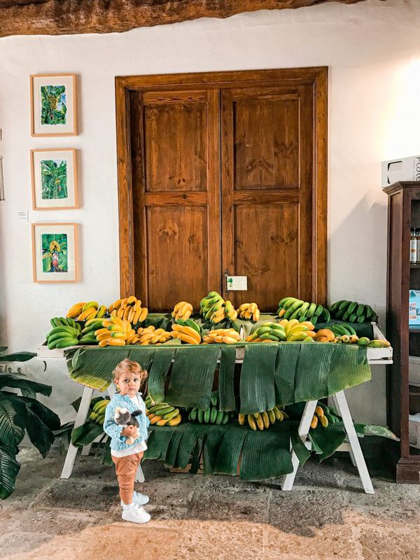 La Casa del Plátano, finca-museo del plátano en Icod de los Vinos, Tenerife