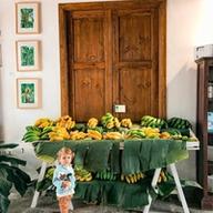 La Casa del Plátano, finca-museo del plátano en Icod de los Vinos, Tenerife