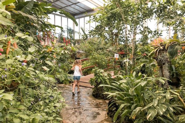 10 Cosas que hacer con niños en Icod de los Vinos, Tenerife