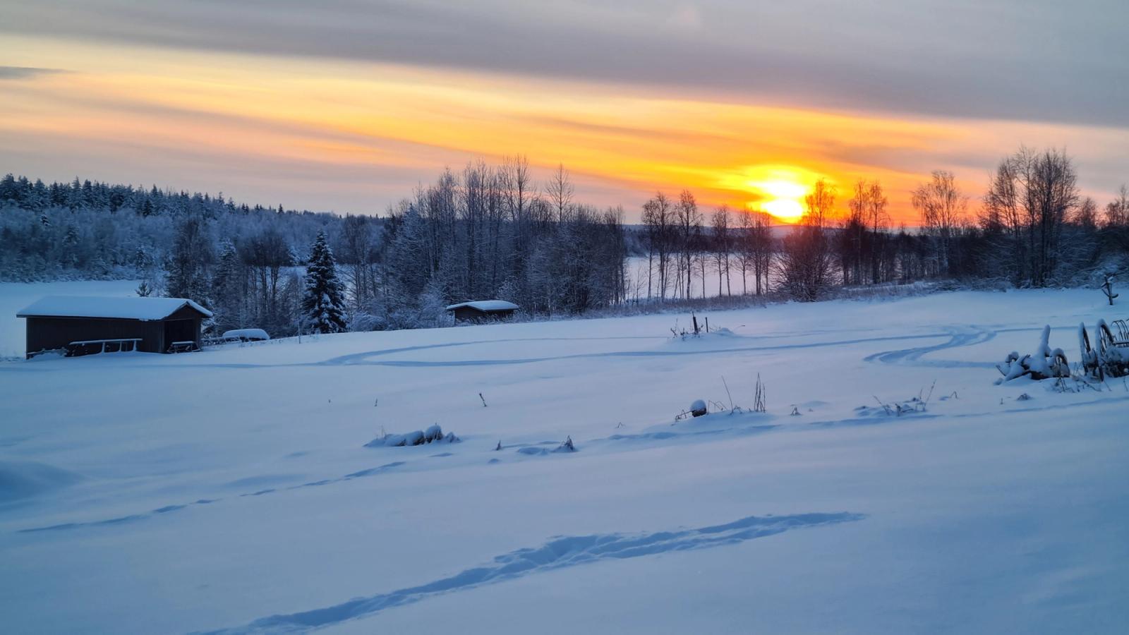 Pelkosenniemi, Lapland