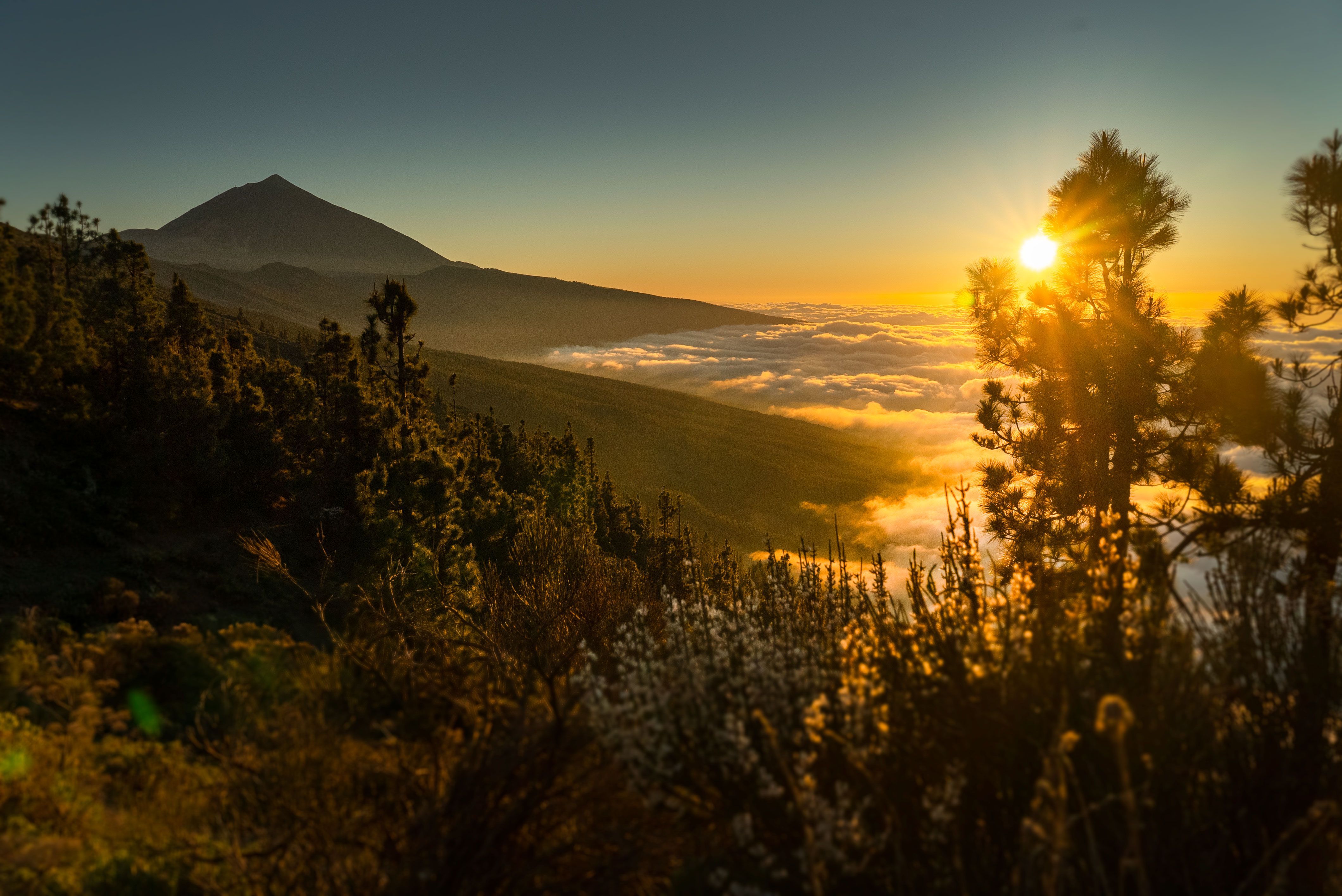 10 curiosidades sobre Tenerife