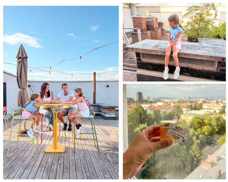 Rooftop y colmenas en el B&B Hotel Ljubljana Park