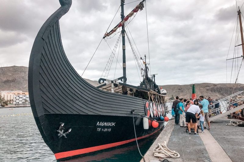 Crucero vikingo de 3 horas con bebidas