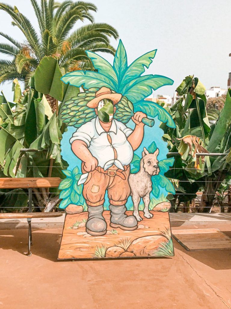 LA CASA DEL PLÁTANO en Icod de los Vinos, Tenerife