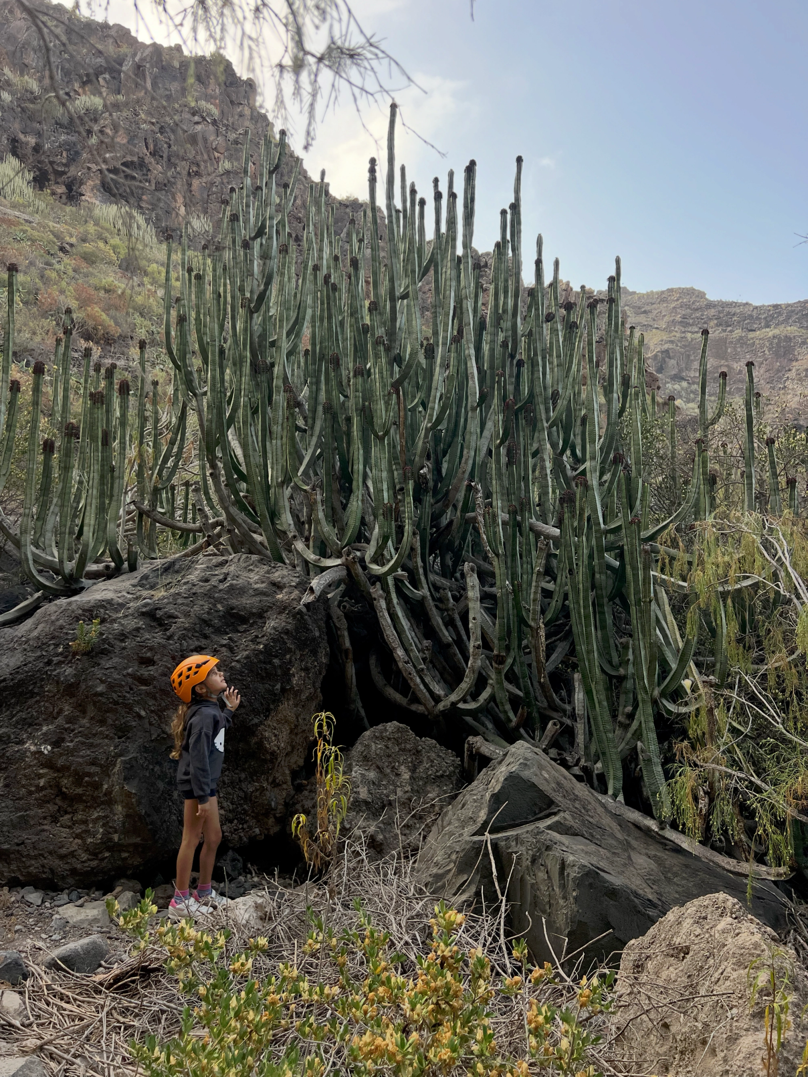 Una de las niñas, con casco, mirando un cardón en el primer tramo del Barranco del Infierno