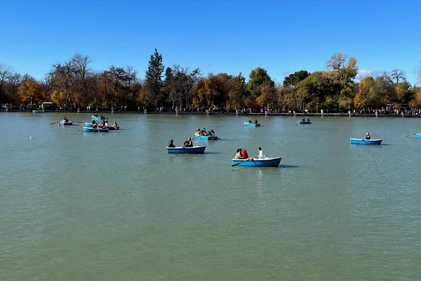 Barcas azules de remo en el Estanque Grande del Retiro, con los árboles en otoño al fondo.