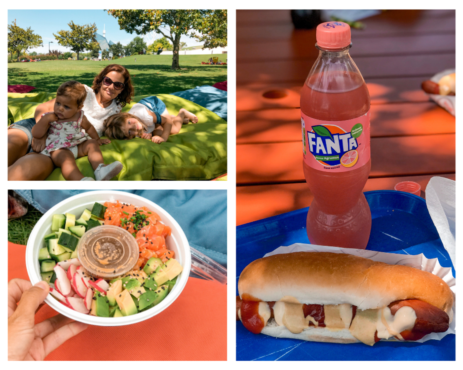 Un descansito en el césped sobre estos puffs tan monos. Poke bowl de salmón del Auchan, 8,50€. Menú de Futuroscope del Illico Resto: hot dog + bebida + helado Magnum = 9,90€