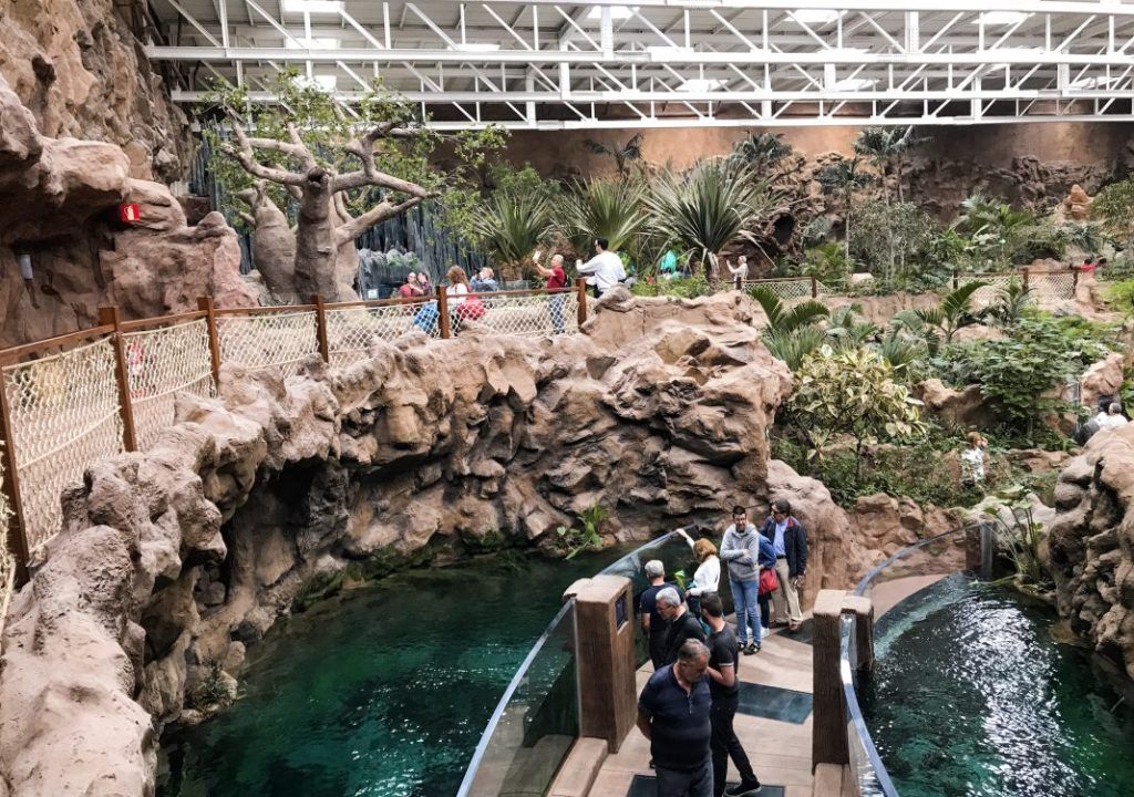 Acuario Poema del Mar