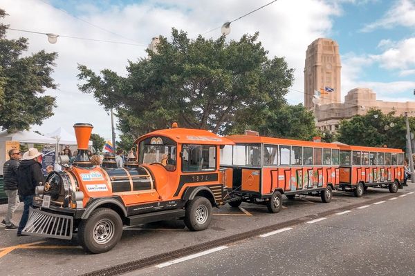 Bus turístico de Santa Cruz de Tenerife (con niños)