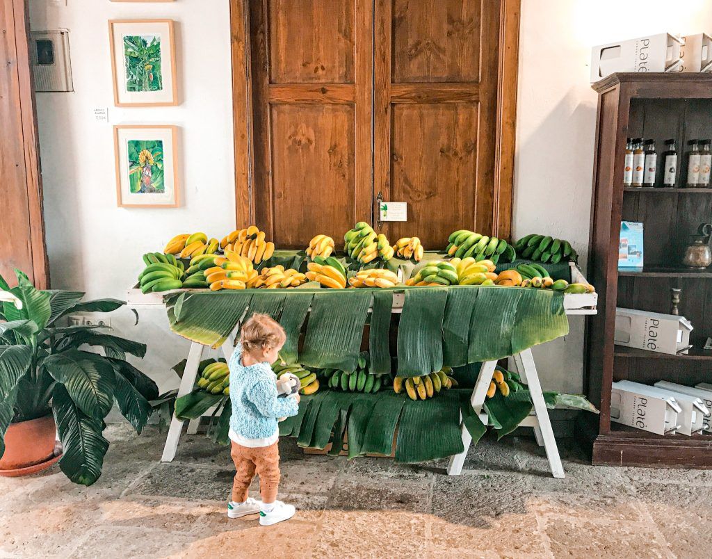 La Casa del Plátano en Icod de Los Vinos