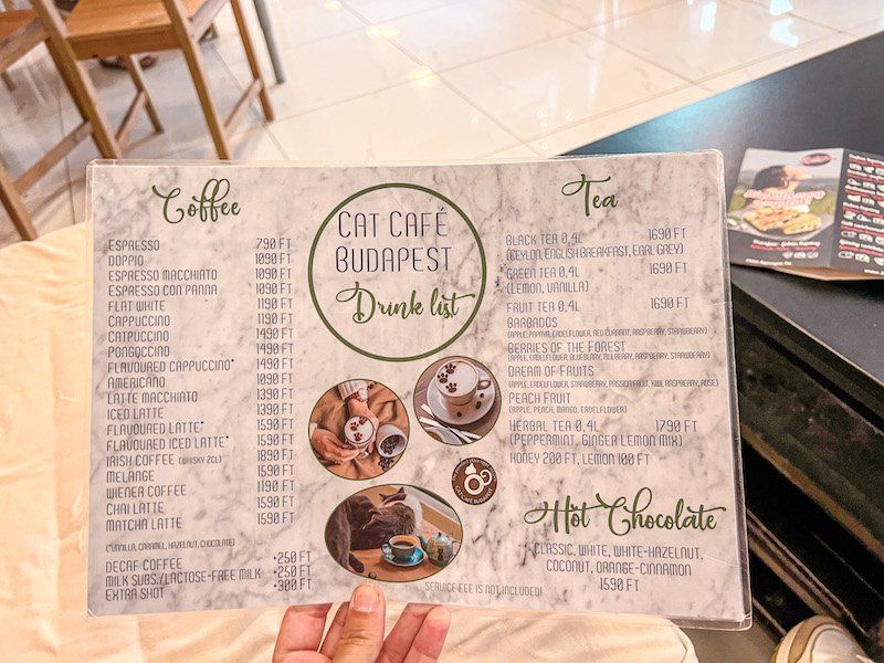 Carta del Cat Café de Budapest