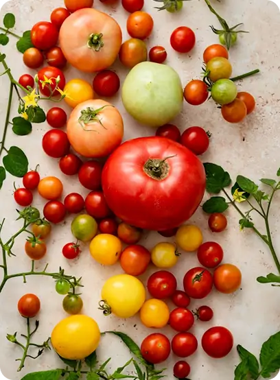 Ein Bild aus dem Inneren von Mila