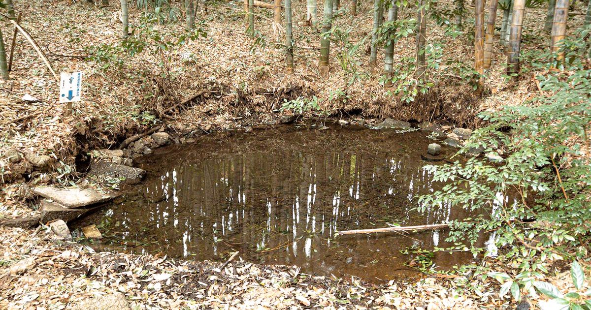 Ochiaigawa River and Minamisawa Springs in Higashikurume: Tokyo's Only Famous Water