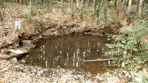 Ochiaigawa River and Minamisawa Springs in Higashikurume: Tokyo's Only Famous Water