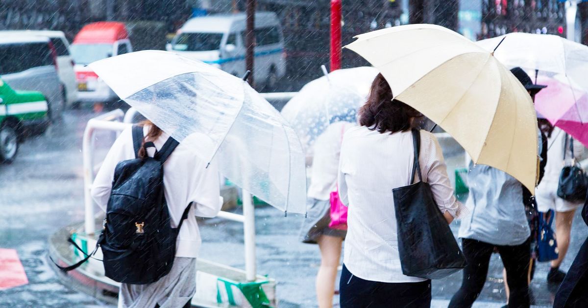 Typhoon No. 7 Approaching Kanto: Ome and Okutama on High Alert for Heavy Rain and Landslides
